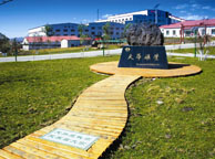 大连天华矿业集团