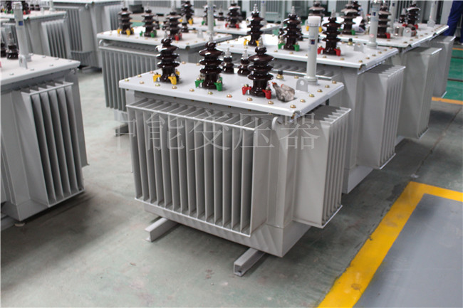 大连S22-100KVA/10KV/0.4KV变压器
